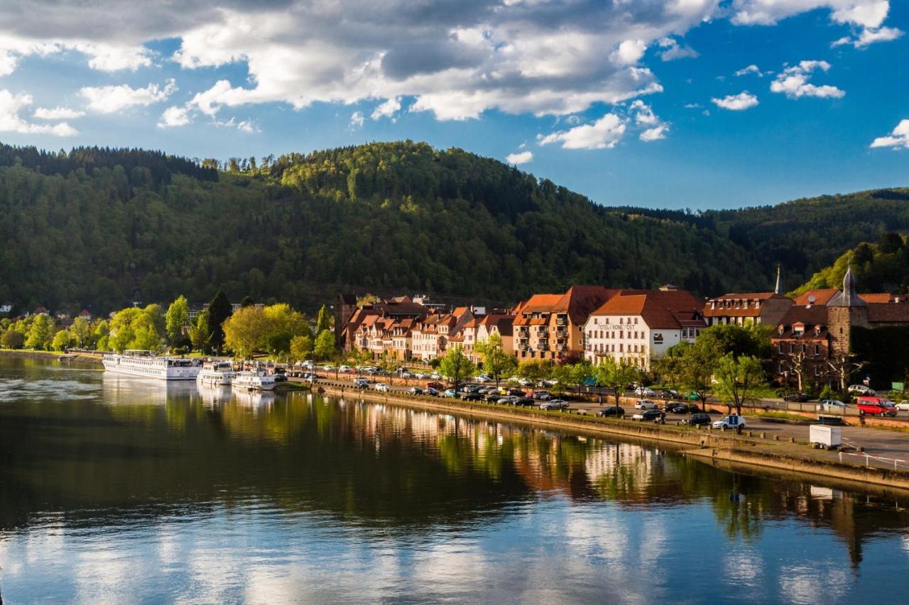 Hideaway Im Odenwald Nahe Heidelberg Apartment Ебербах Екстериор снимка